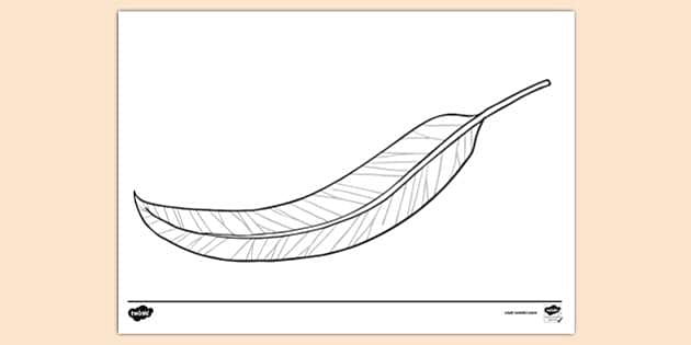 Gum leaf template primary resources