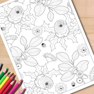 Christmas wreath coloring pages australian wildflower colouring page for adults eucalyptus leaves blossom printable instant download