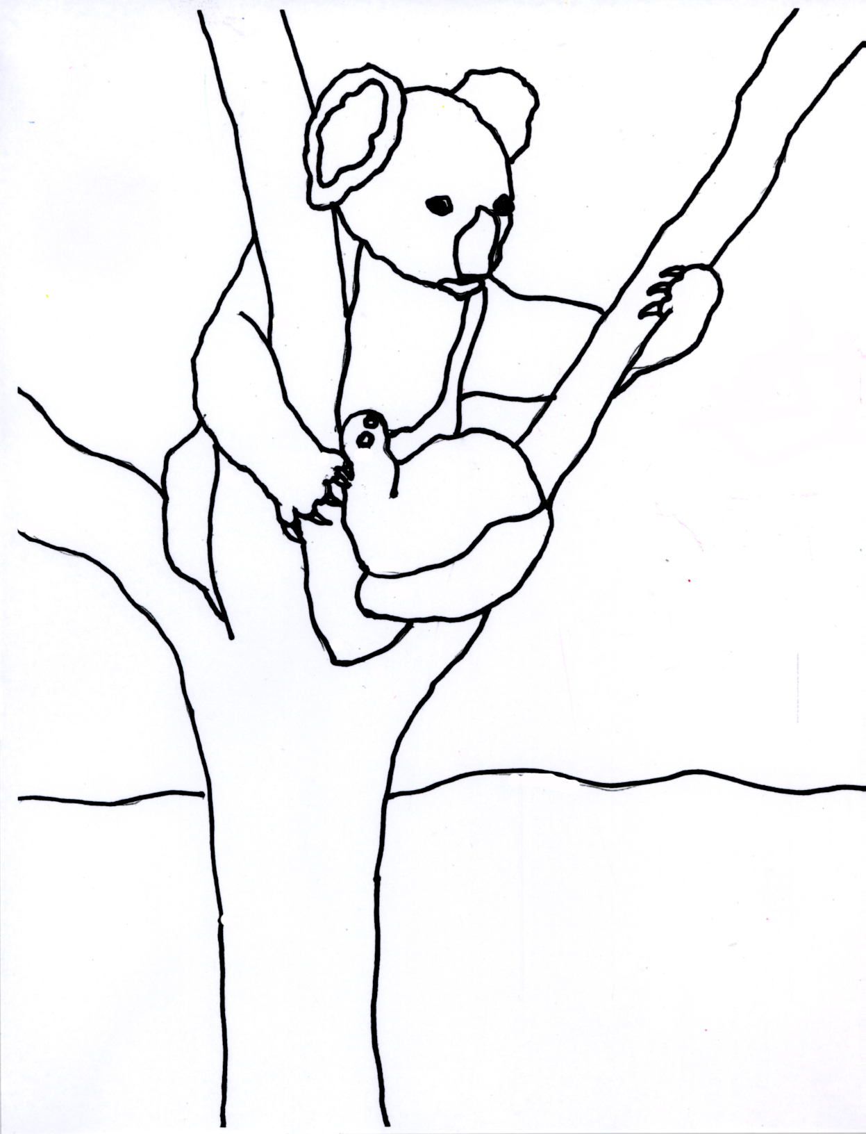 Free printable koala coloring pages for kids
