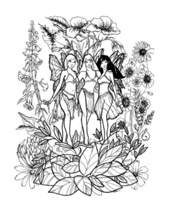 Fairies adult coloring pages
