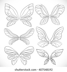 Fairy wings vector art graphics