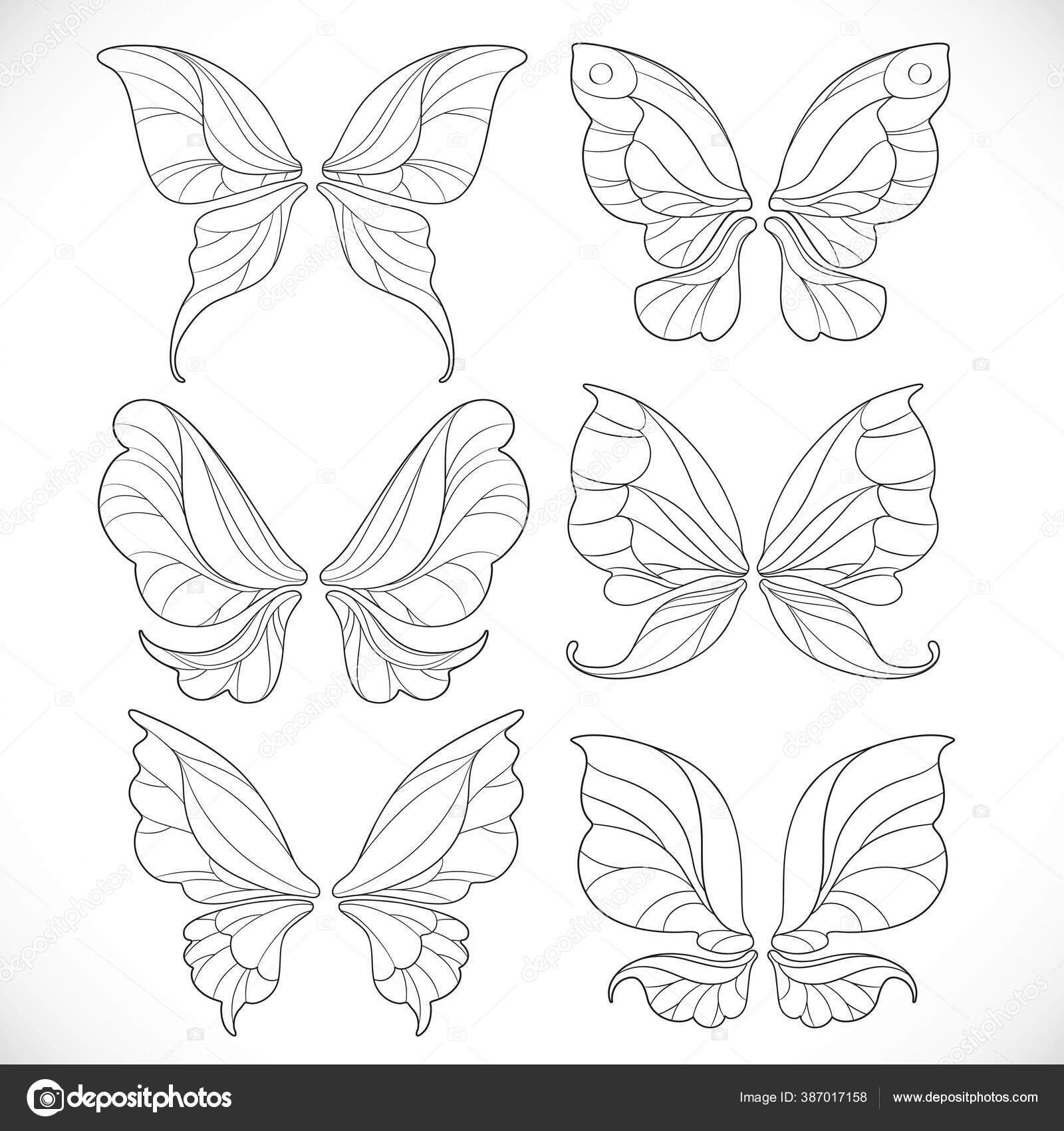 Fairy wings outlines set isolated white background stock vector by yadviga