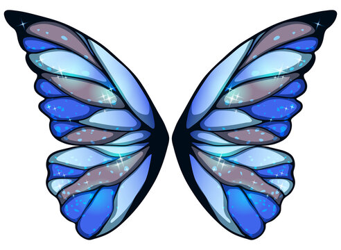Realistic fairy wings images â browse photos vectors and video