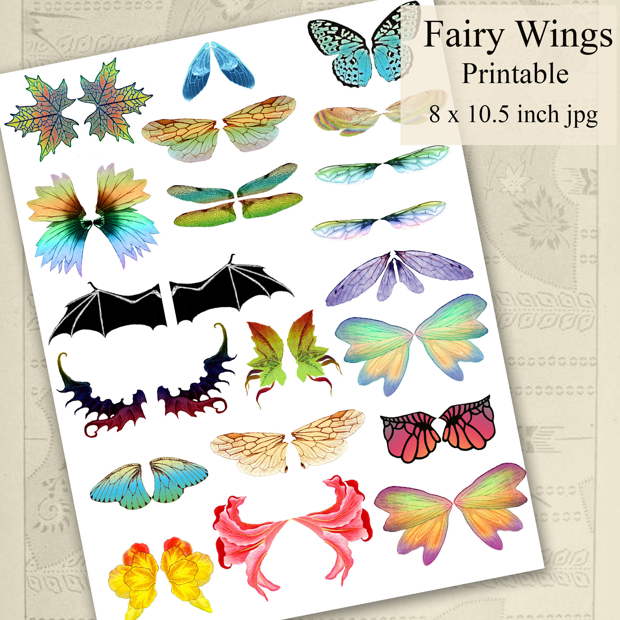 Printable fairy wings insect wings illustrations instant digital download collage sheet instant download