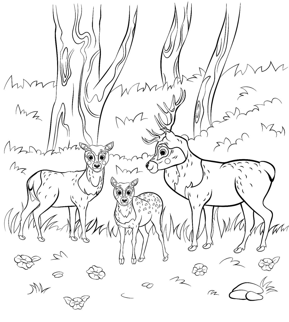 Animal families coloring pages free fun printable coloring pages of animal families printables mom