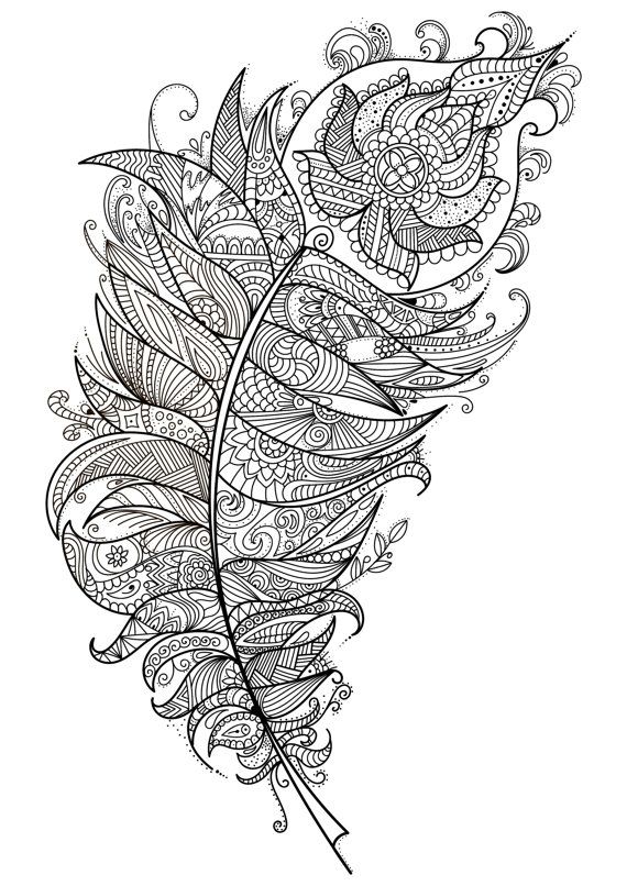 Feather beautiful intricate adult coloring page adult coloring pages mandala coloring pages adult coloring book pages
