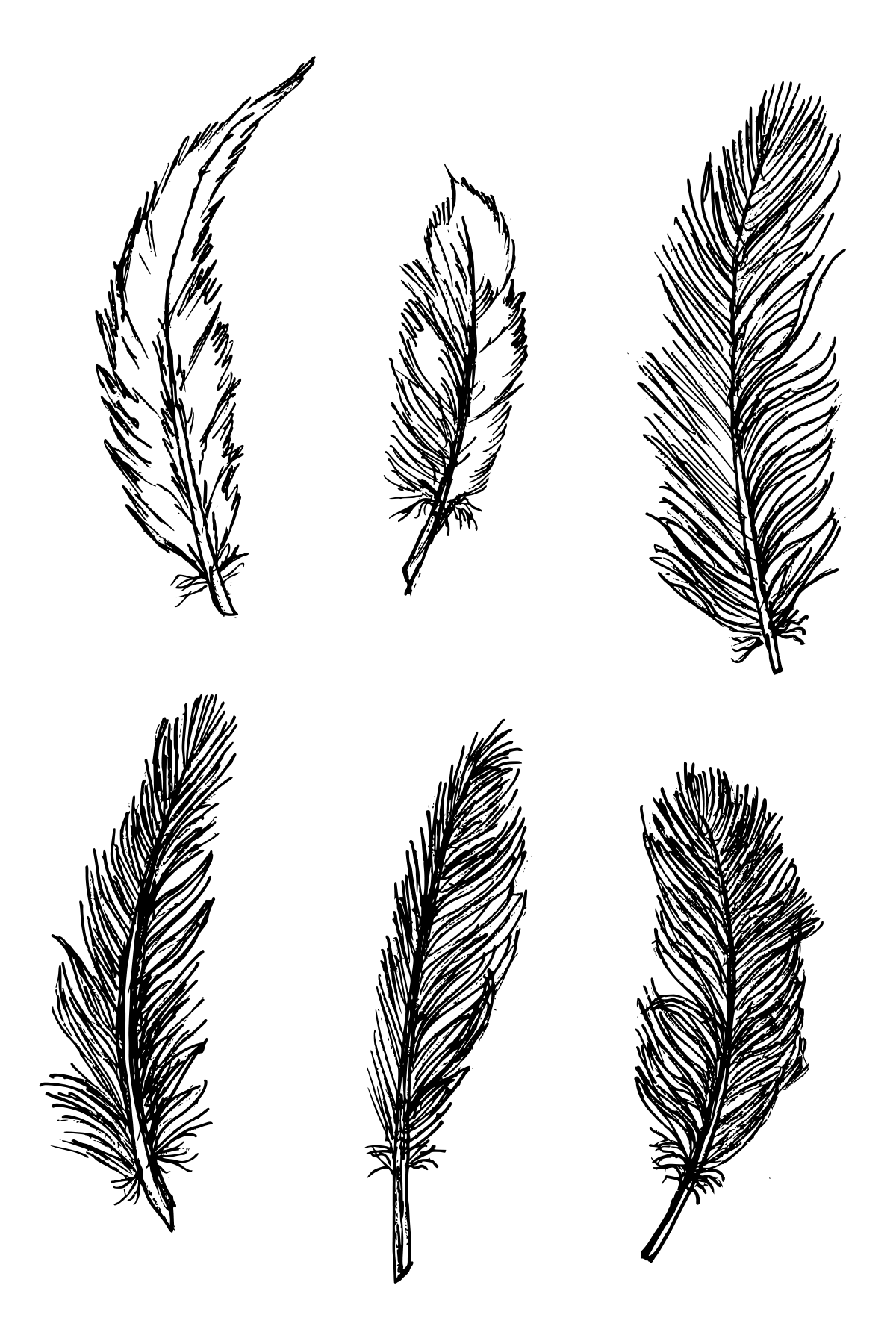 Free feather coloring pages pdf