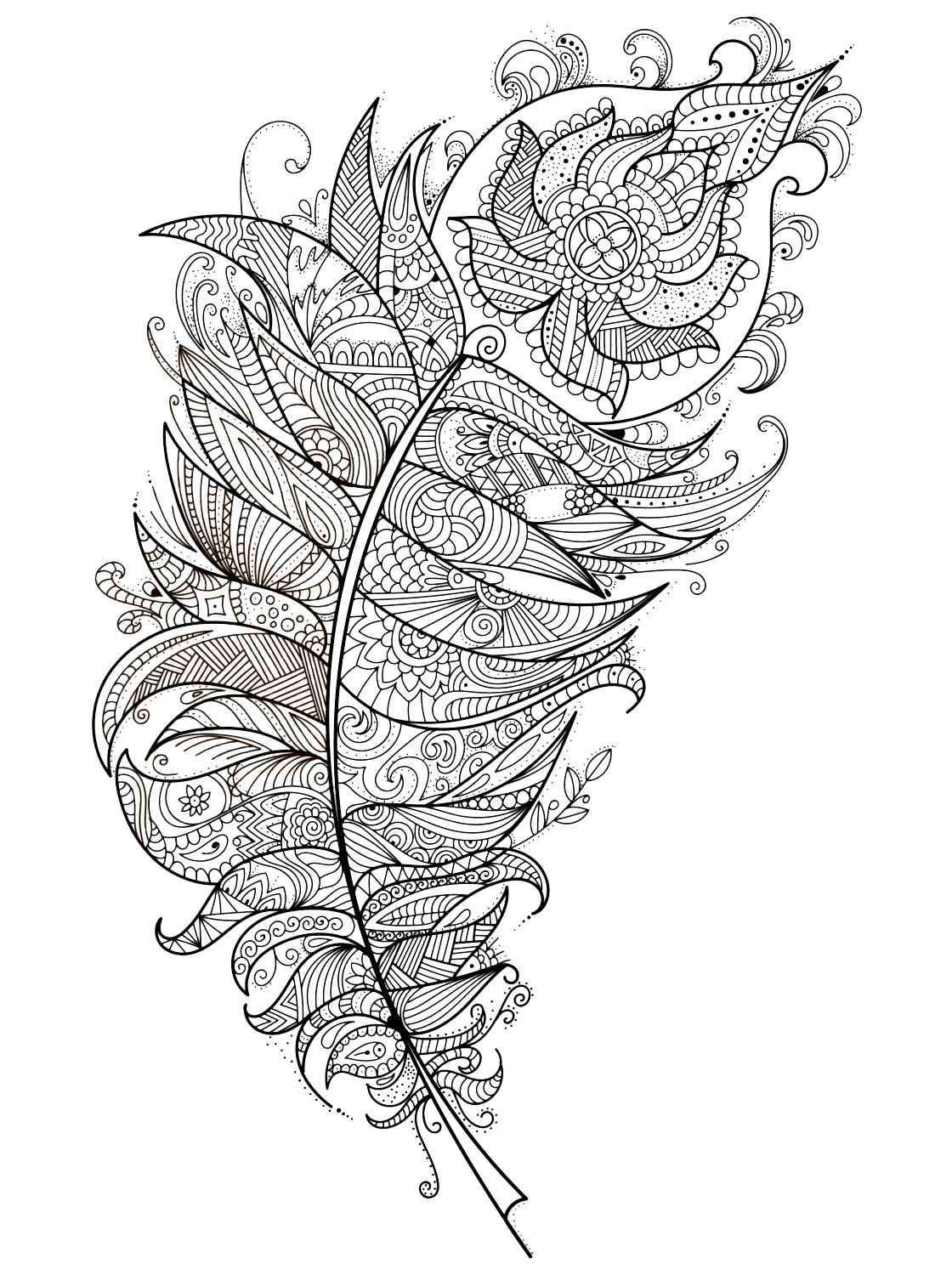 Feather coloring pages for adults