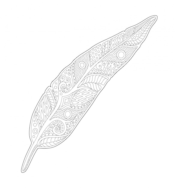 Premium vector line art for coloring book page with feather