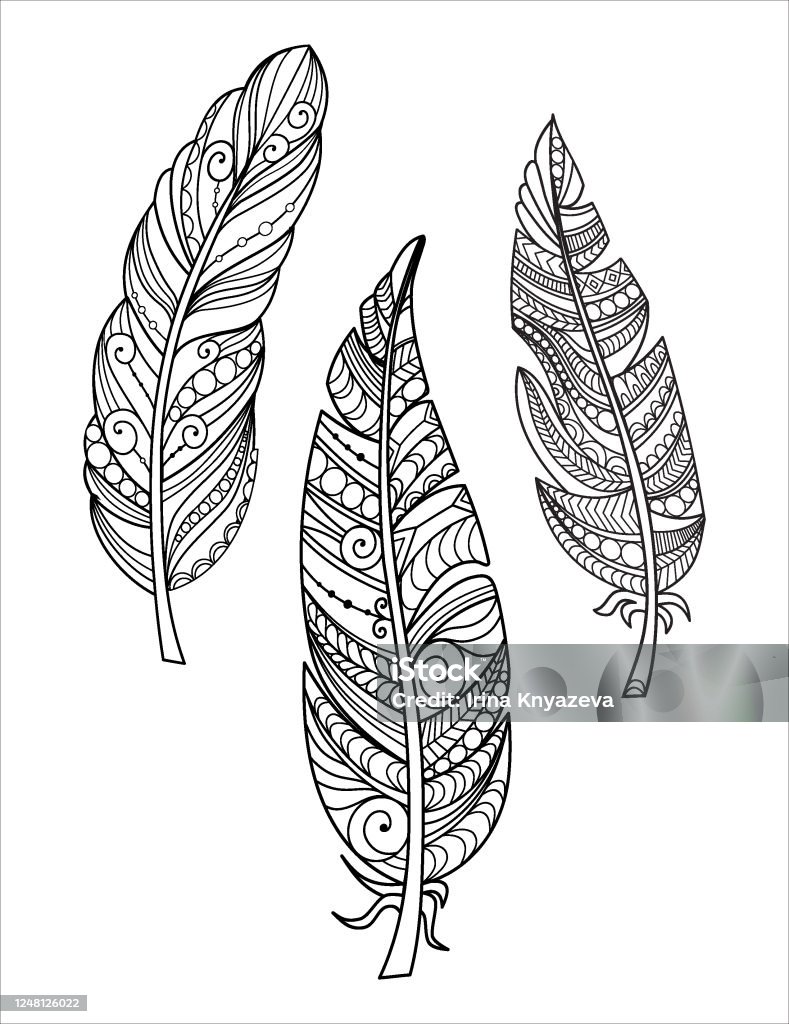 Feathers coloring page stock illustration