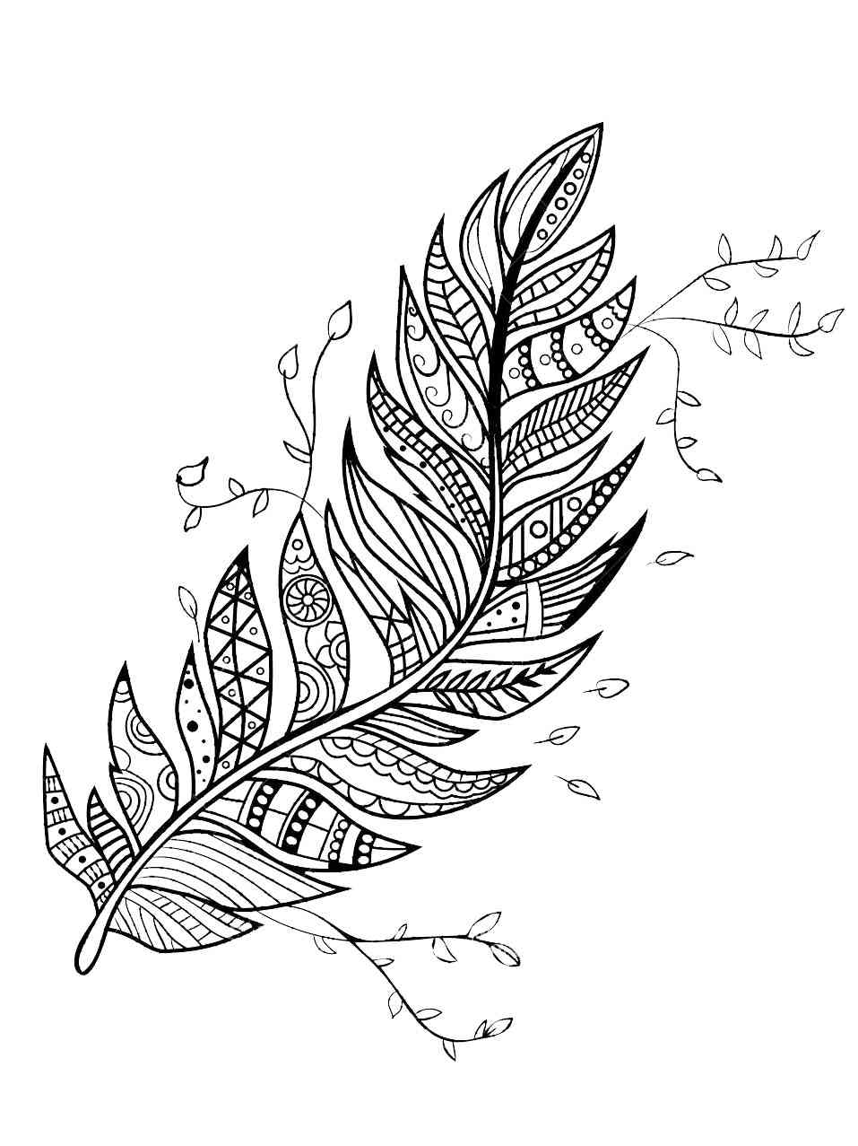 Feather coloring pages for adults