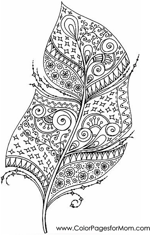Coloring pages for adults