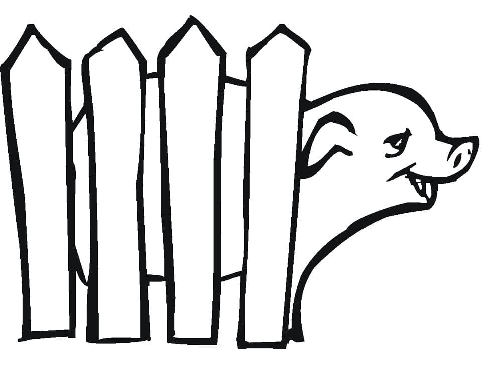 A pig behind the fence coloring page