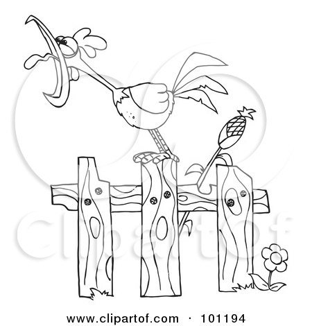 Coloring page outline of a loud rooster crowing on a fence by a corn stalk posters art prints by