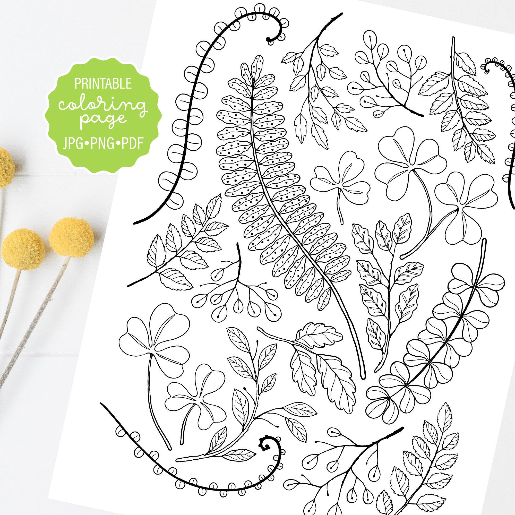 Forest leaves coloring page fern botanical coloring sheet woodland greenery adult coloring printable or digital