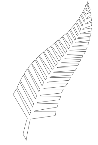 Silver fern the symbol of new zealand coloring page free printable coloring pages
