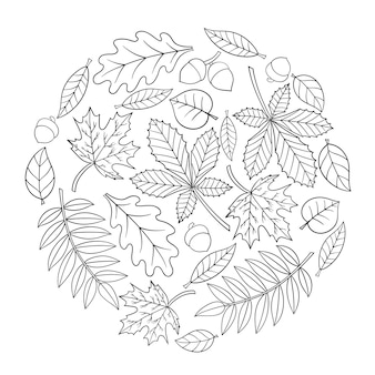 Printable fern coloring page vectors illustrations for free download