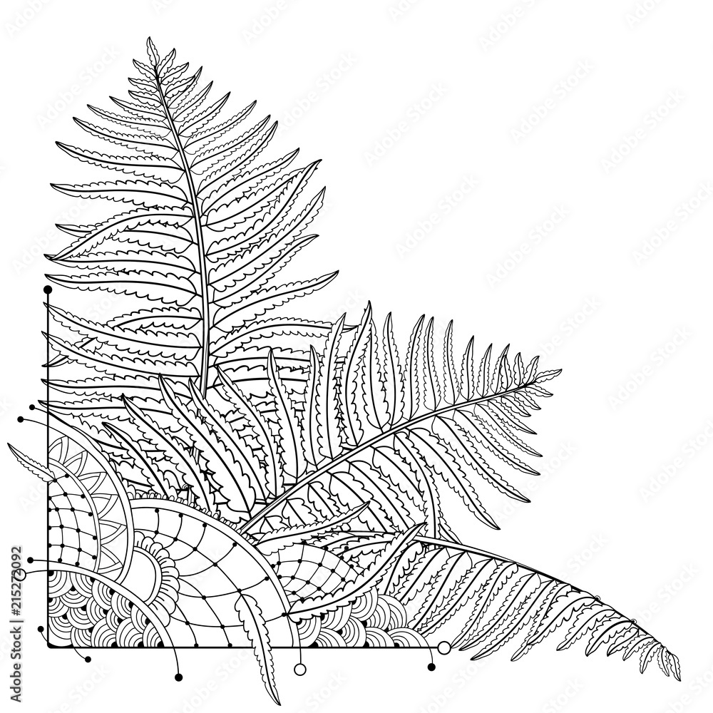 Vector corner position of outline fossil forest plant fern with fronds in black isolated on white background drawing of contour fern with ornate leaf for summer design or coloring book vector