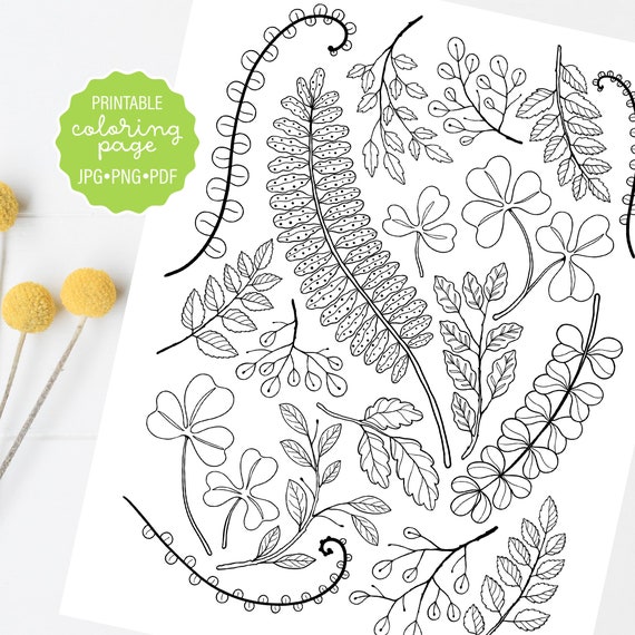 Forest leaves coloring page fern botanical coloring sheet woodland greenery adult coloring printable or digital