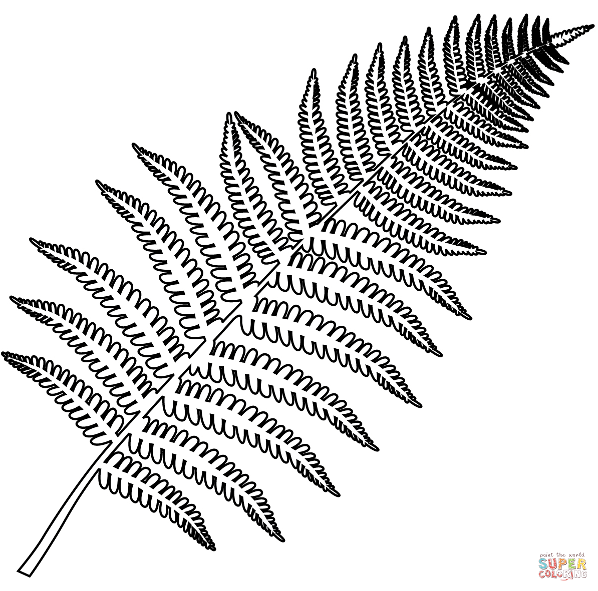 Fern coloring page free printable coloring pages