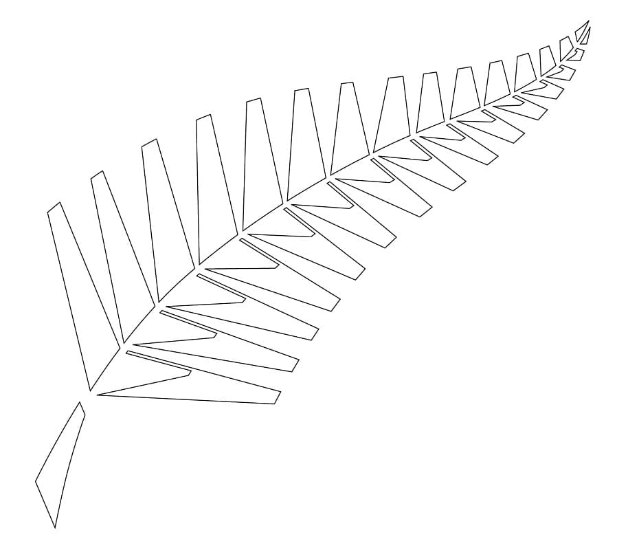 Silver fern symbol coloring page