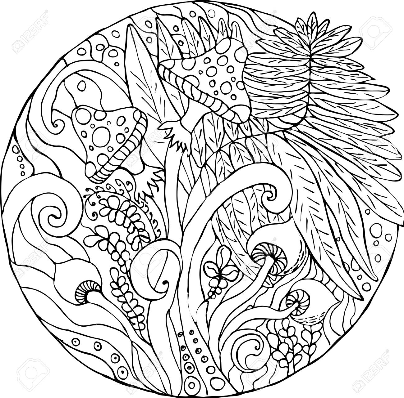 Coloring fern of the forest black and white image anti