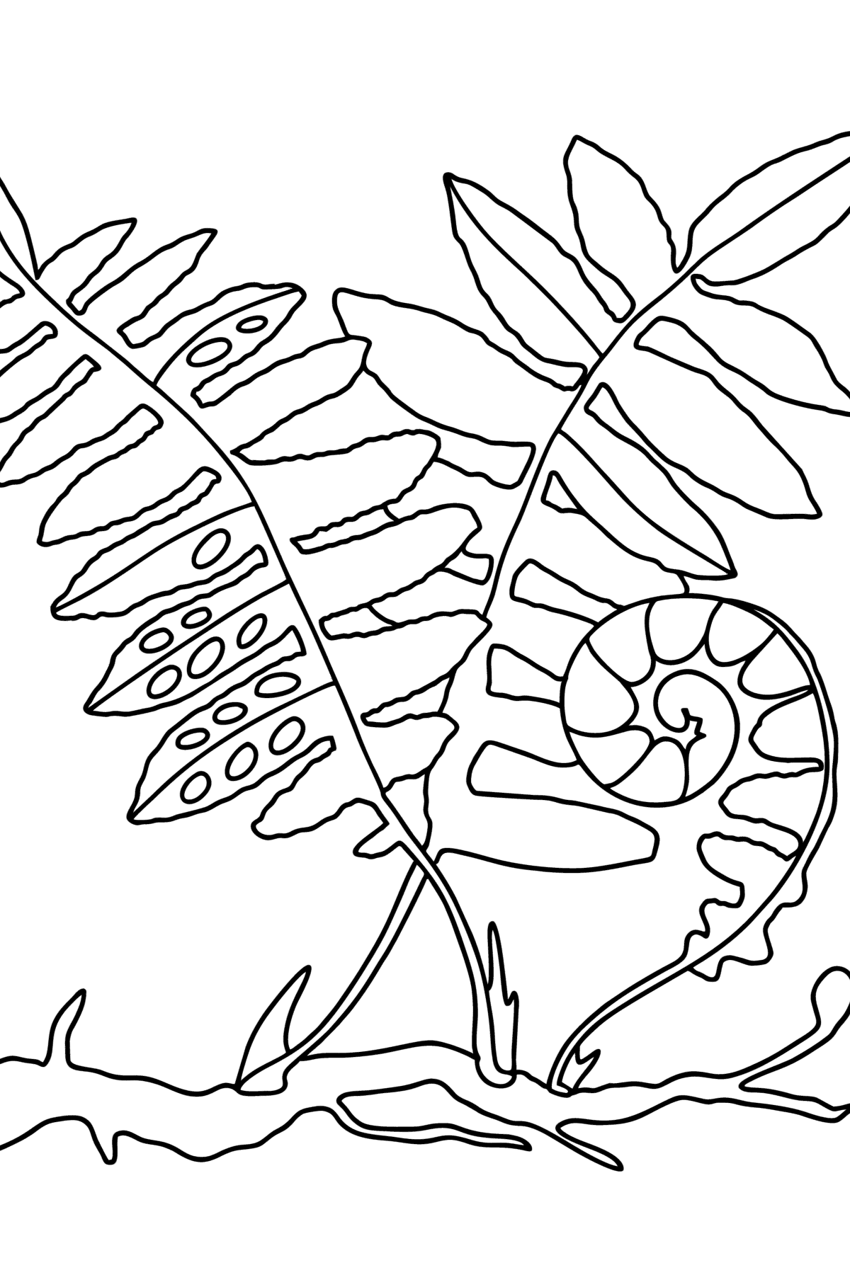 Fern leaves coloring page â online and print for free