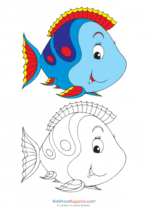 Fill in the color â blue fish printable coloring page