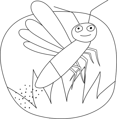 Firefly coloring page free printable coloring pages