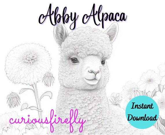 Coloring page for adults abby alpaca grayscale coloring page instant download curious firefly design jpeg pdf