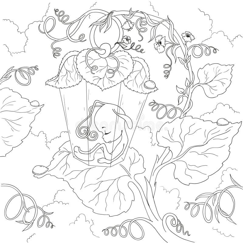 Firefly coloring stock illustrations â firefly coloring stock illustrations vectors clipart