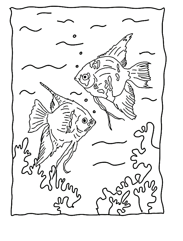 Free printable fish coloring pages for kids