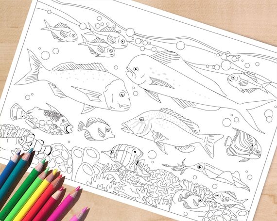 Printable fish coloring page adult colouring page for men fishing activity sheet