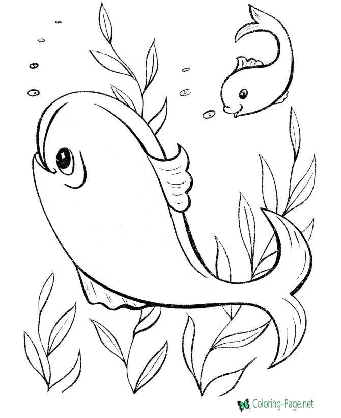 Printable fish coloring pages