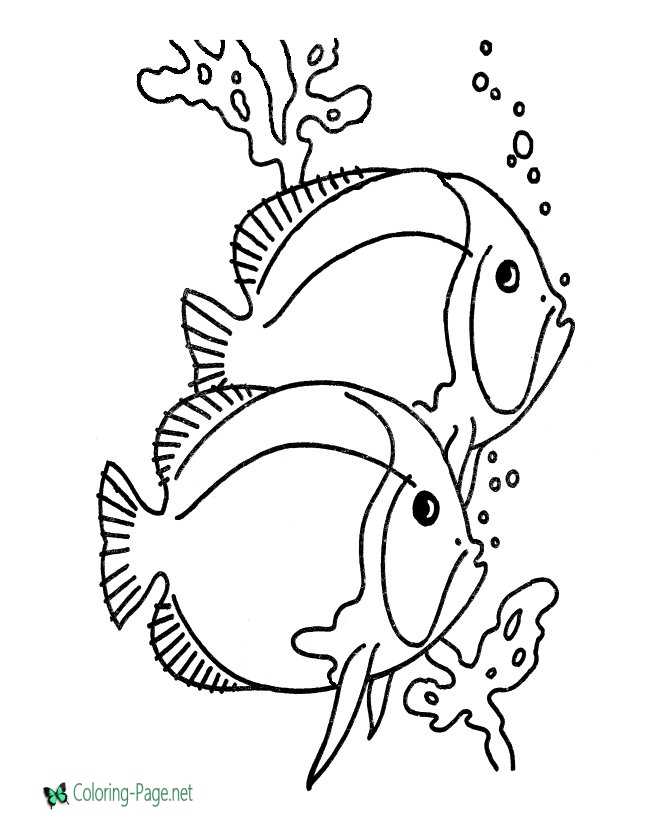 Fish coloring pages to print and color