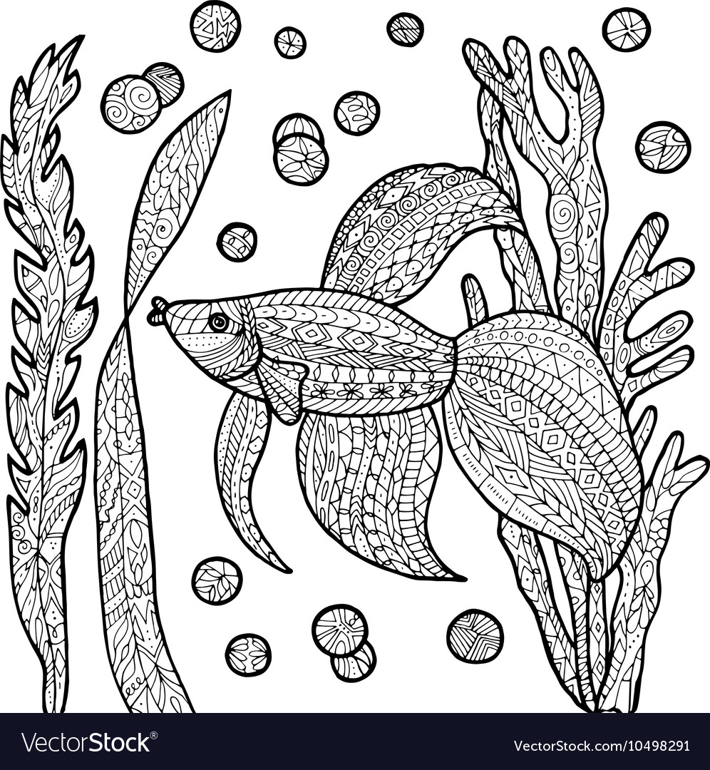 Fish coloring page royalty free vector image