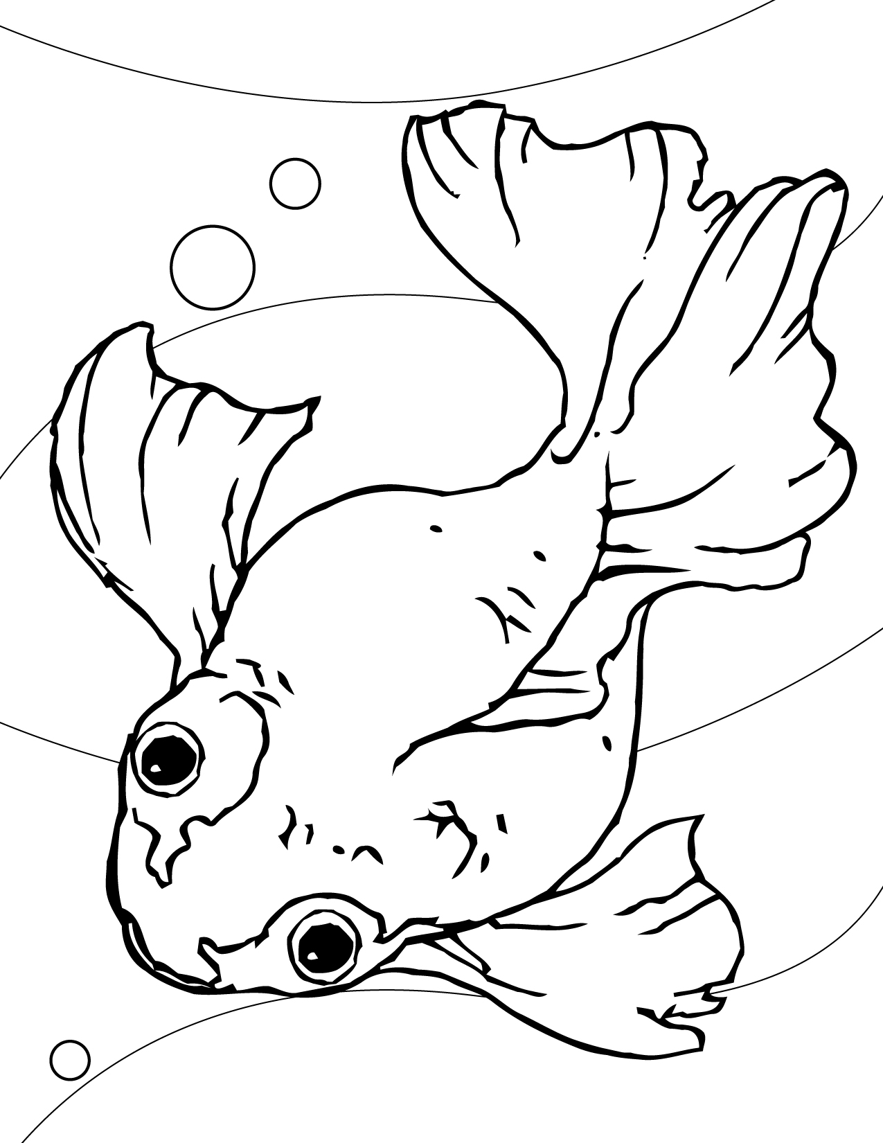 Free printable fish coloring pages for kids