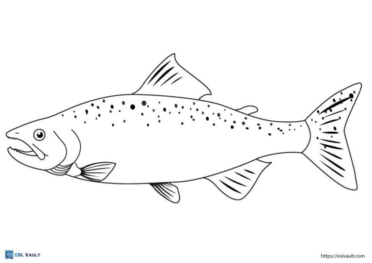 Free printable fish outline templates pdfs
