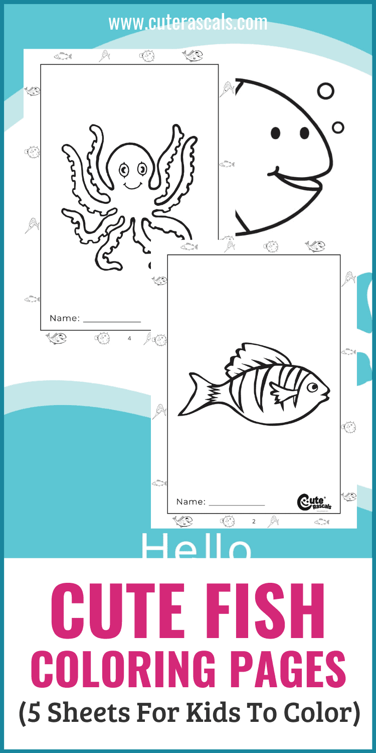 Cute fish coloring pages sheets for kids to color