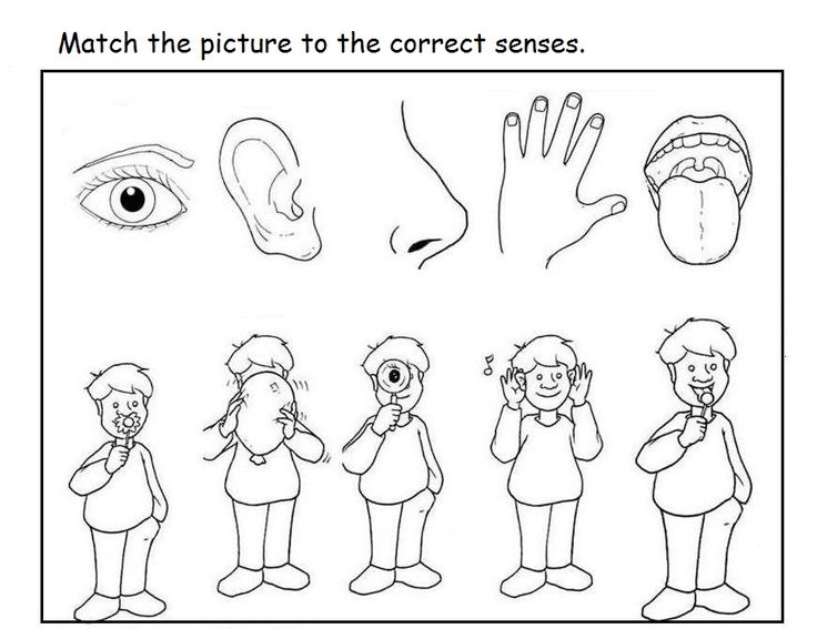 Senses worksheet for kids preschool worksheets worksheets for kids senses preschool