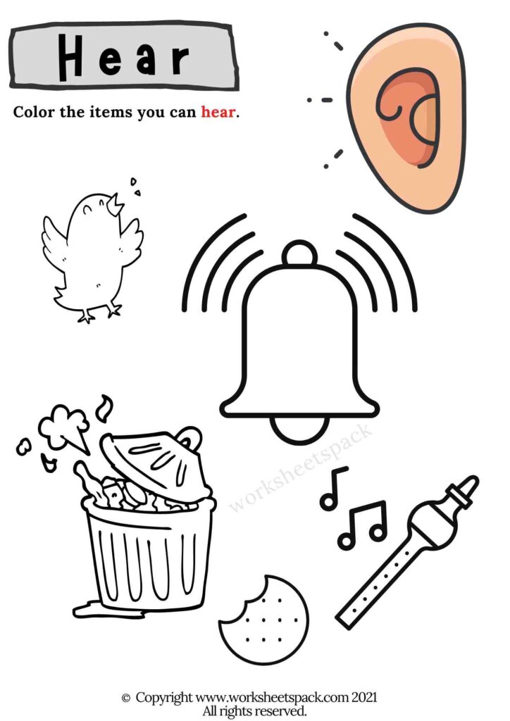 Senses activities for preschool