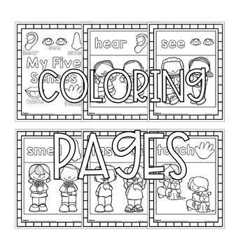Five senses coloring pages by mini mountain learning tpt