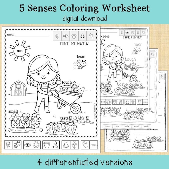 My body five senses coloring worksheet printable
