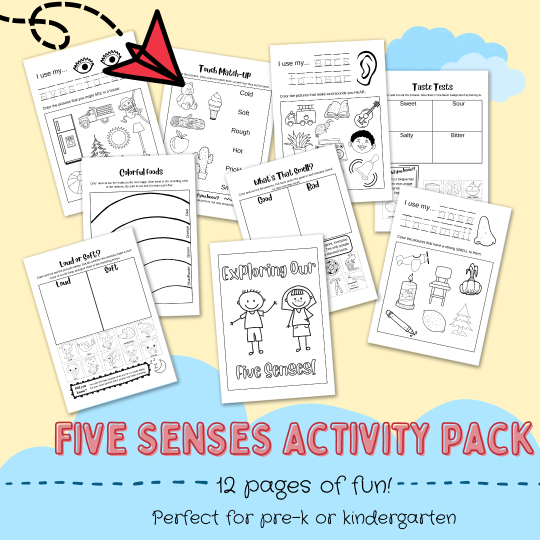 Five senses printable workbook