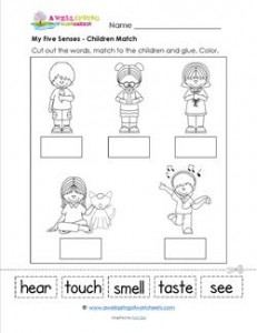 My five senses