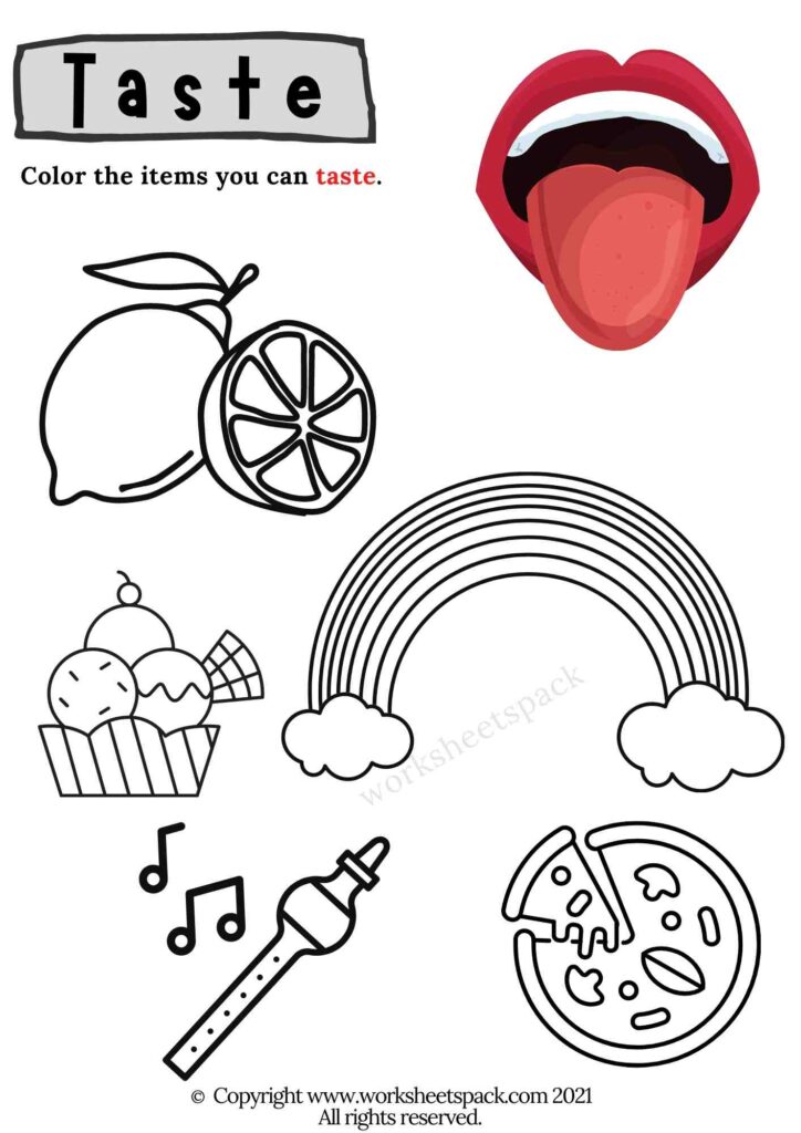 Senses activities for preschool