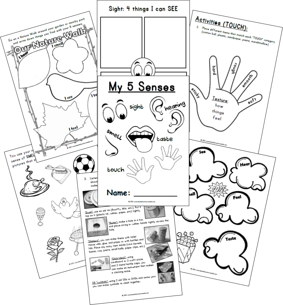 My five senses activity journal â teacha
