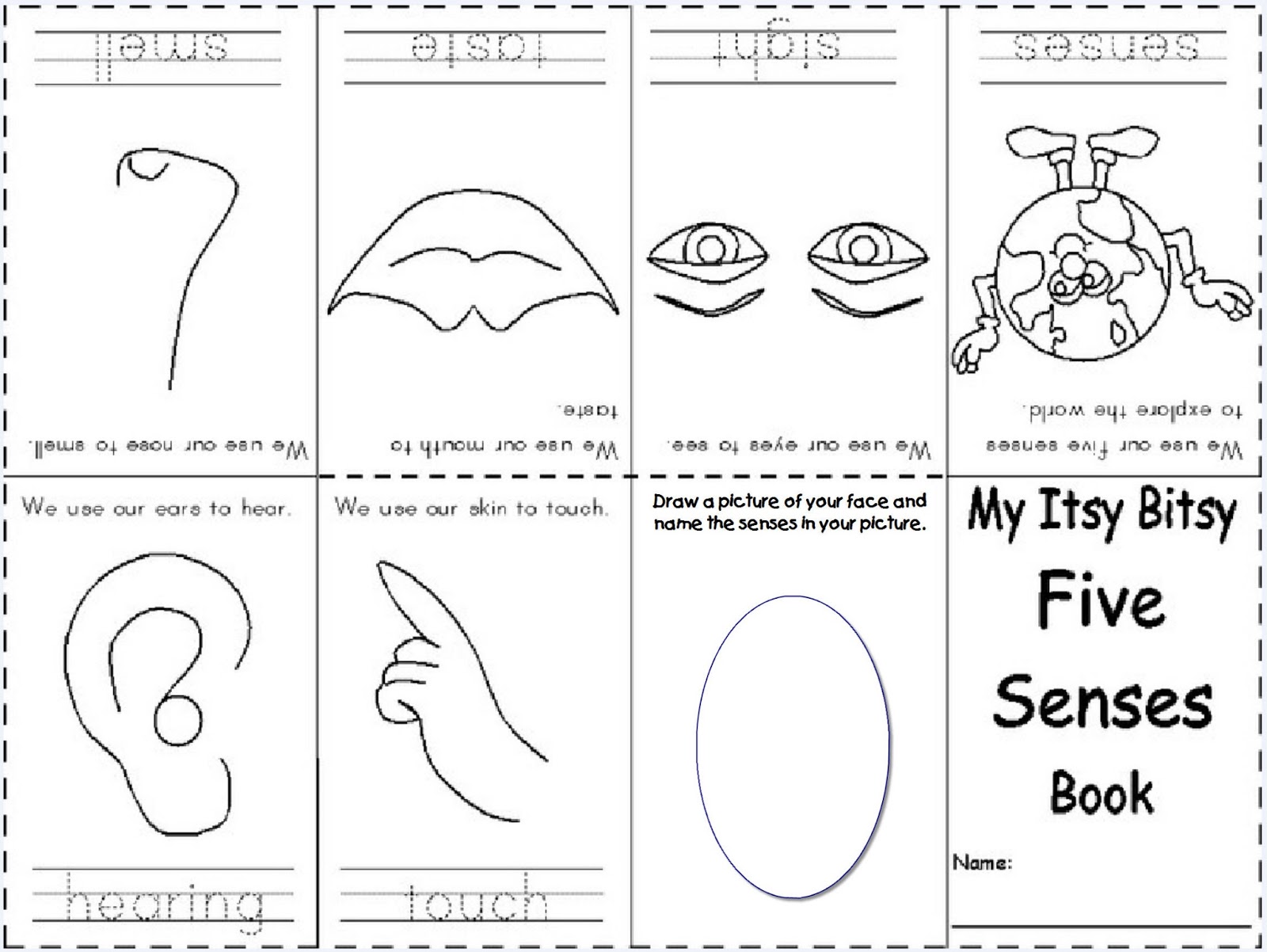 Five sense worksheet new five senses pre k activities