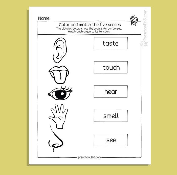 My five super senses activity pack activities