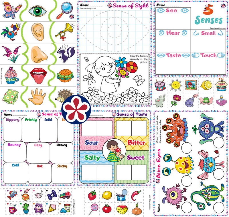 Free worksheets about the senses for preschoolers